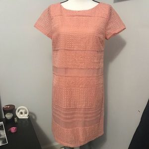 Ann Taylor Pink Sheath Dress